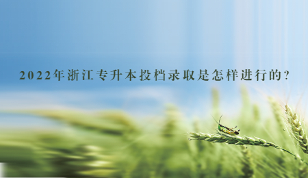 2022年浙江專升本投檔錄取是怎樣進行的？.jpg