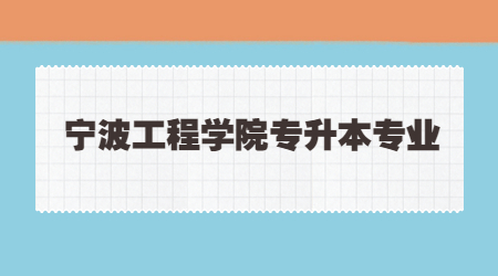 寧波工程學(xué)院專升本專業(yè)