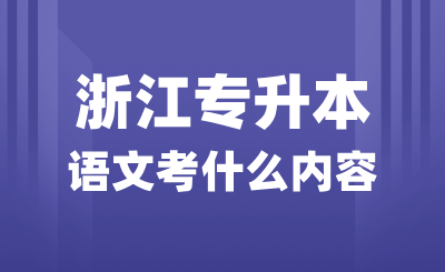 浙江專升本語文考什么內容？議論文怎么寫？