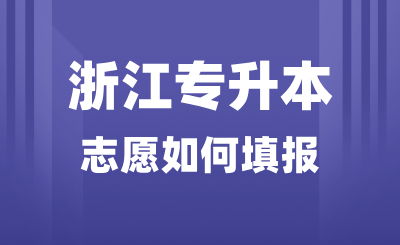 2025年浙江專升本志愿如何填報？能報考哪些院校？